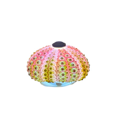 CoastalGlow DIY Igel Nachtlampe