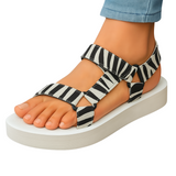 Zebra Weiß