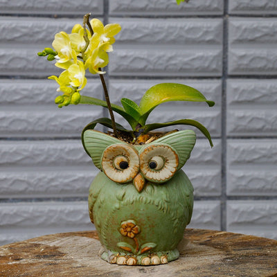 WhimsiOwl Keramische Sukkulententopf – Moderne Dekorative Blumentopf mit Eulendesign