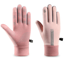 Volles Rosa