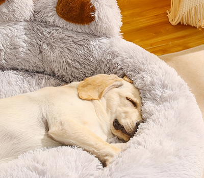 Waschbares Haustierbett CozyPaw mit pfotenförmigem Design