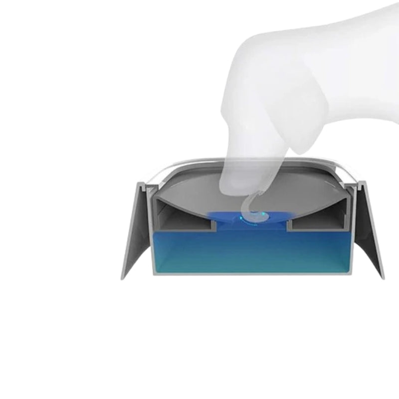 PawSip – Tropfwasserfeste flüssige Wasserschale für Hunde und Katzen