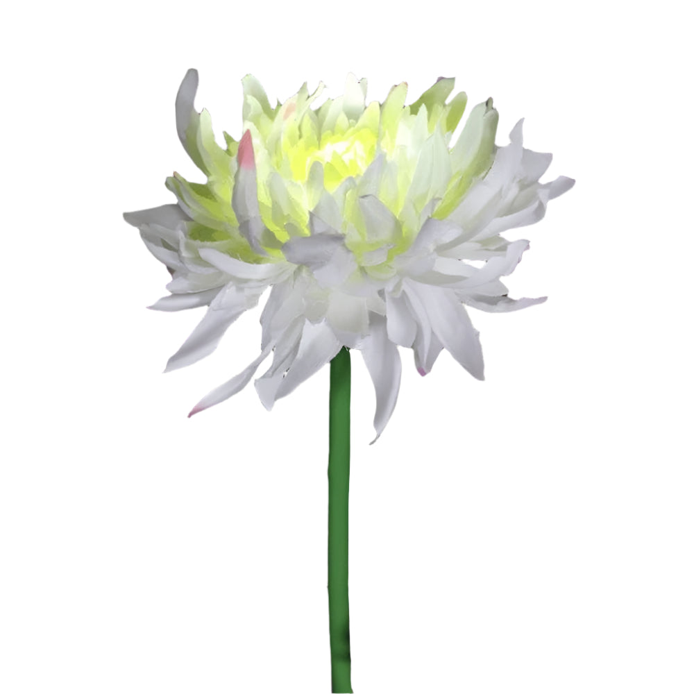 BloomGlow solarbetriebene Gartenlampen – Farbwechselnde LED-Außendekoration