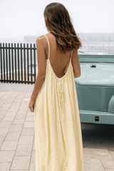Apricot