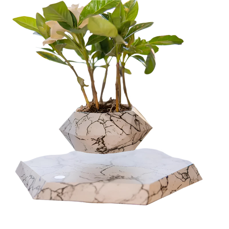 GeoSpin rotierende geometrische Pflanzenbox