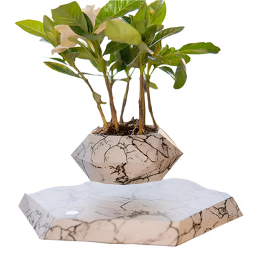 GeoSpin rotierende geometrische Pflanzenbox