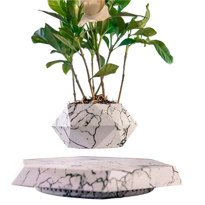 GeoSpin rotierende geometrische Pflanzenbox