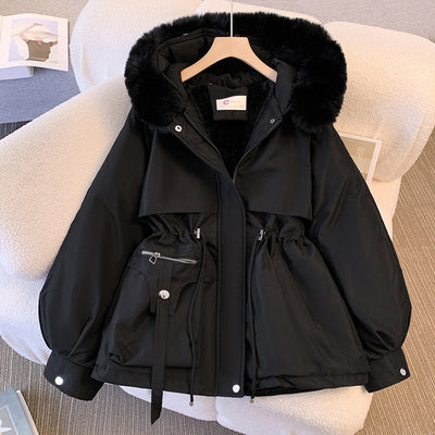 Norvella – Elina Jacke