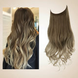 Braun & Ashblond