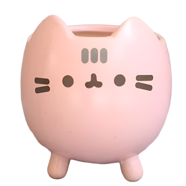 WhiskerBloom Sukkulenttopf – Pflegeleichte Keramik-Gartenkiste in Kastenform