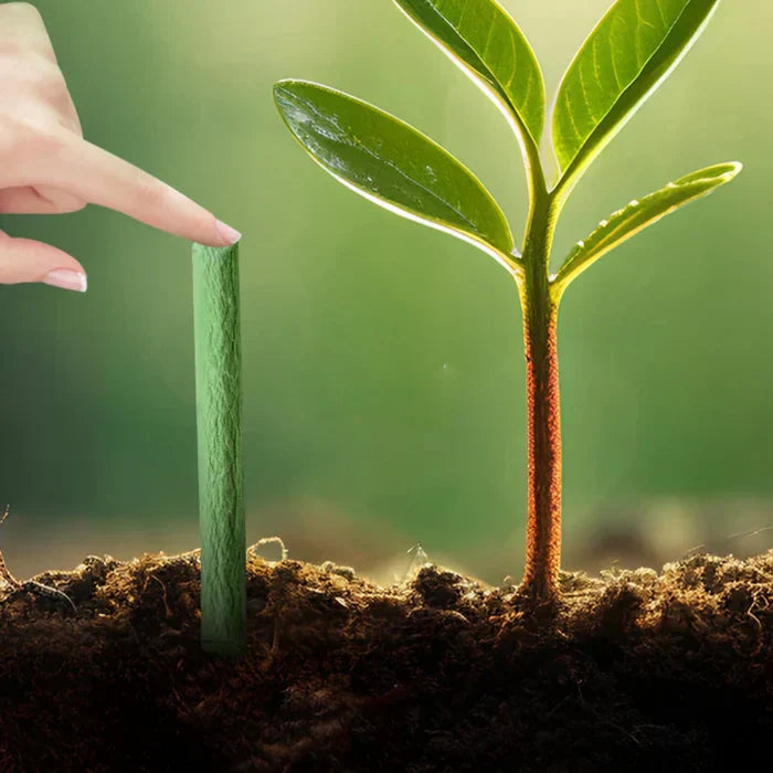 EcoBloom Nährstoffstäbchen – Langzeitdünger für einfache und nachhaltige Pflanzenpflege