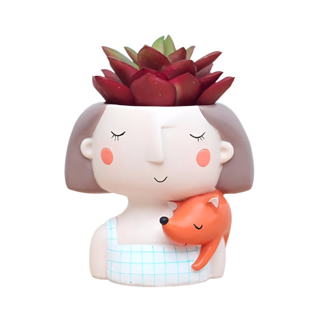 Modelle Sukkulenten-Topf mit Doppelverwendung